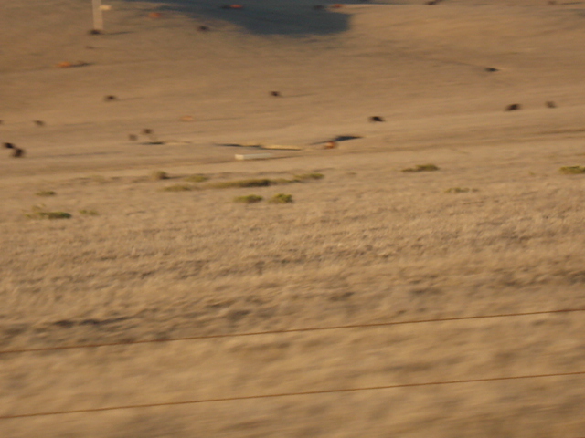 gal/2007 California/picture_174.jpg